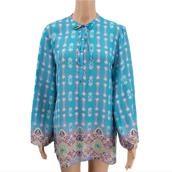 Robert Graham Women's Medium Silk Tunic Blouse Top Blue Pink Sheer Long Sleeves - Picture 1 of 11